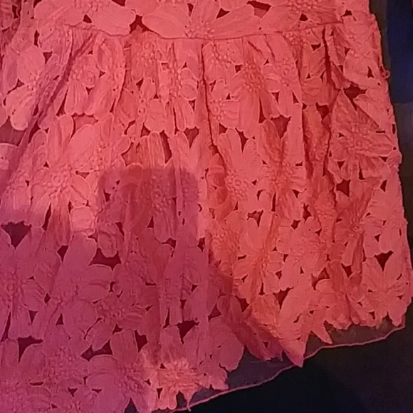 Arrogant Cat Red Dress Size 12/L - Picture 2 of 8